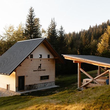 Alpine Cottage Golica Jesenice Eksteriør bilde