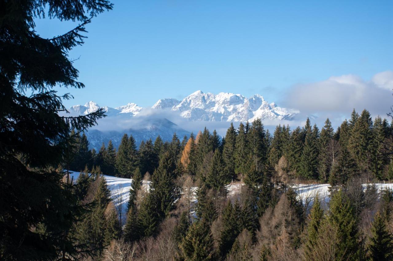 Alpine Cottage Golica Jesenice Eksteriør bilde