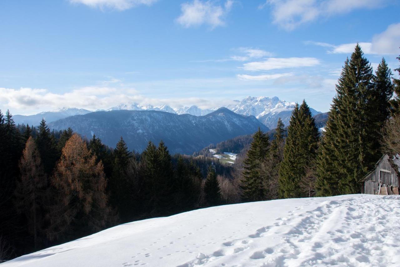Alpine Cottage Golica Jesenice Eksteriør bilde
