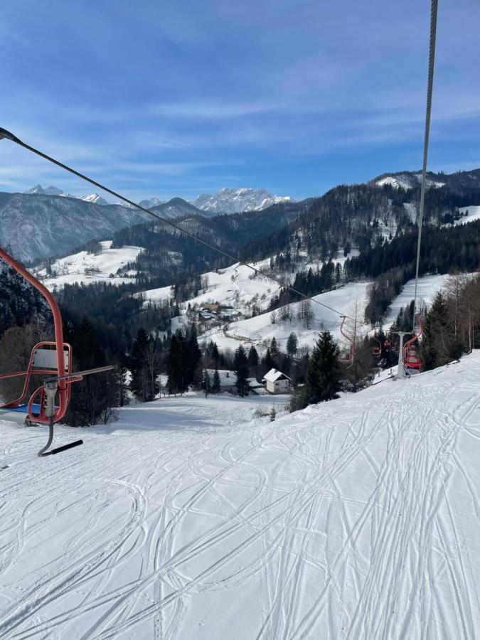 Alpine Cottage Golica Jesenice Eksteriør bilde