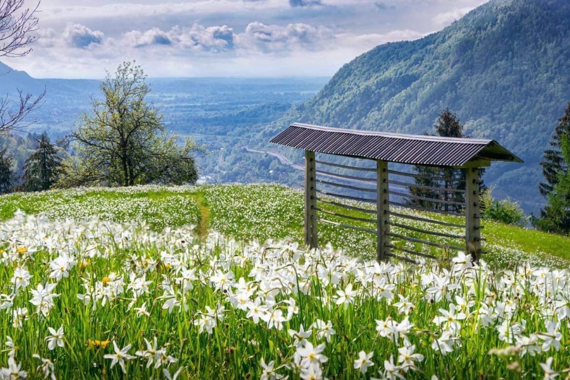 Alpine Cottage Golica Jesenice Eksteriør bilde