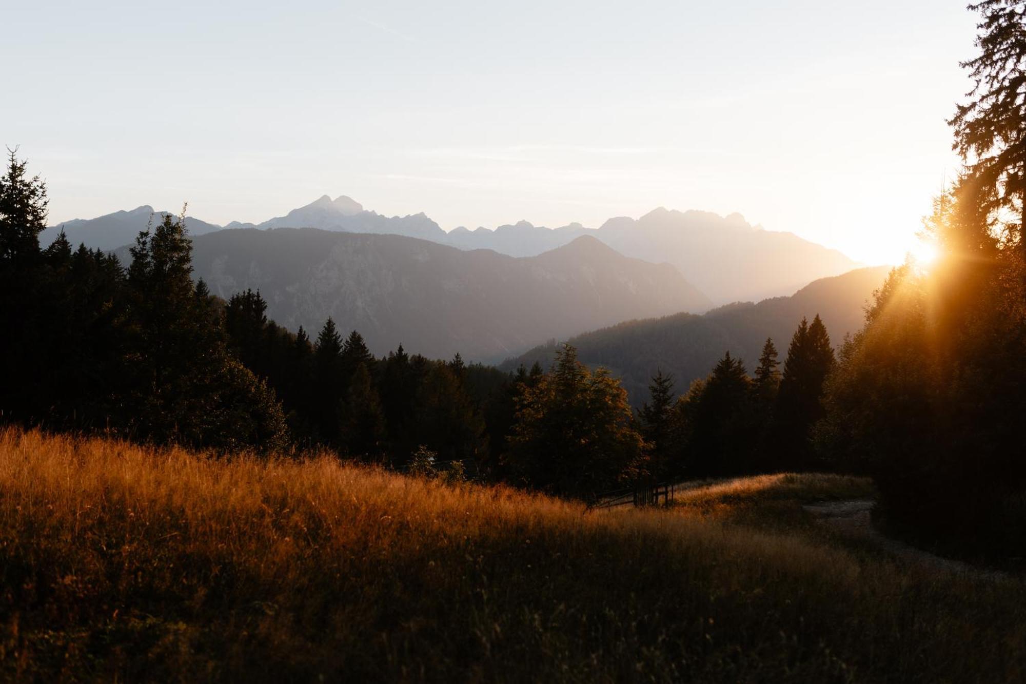 Alpine Cottage Golica Jesenice Eksteriør bilde